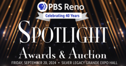 Spotlight Awards